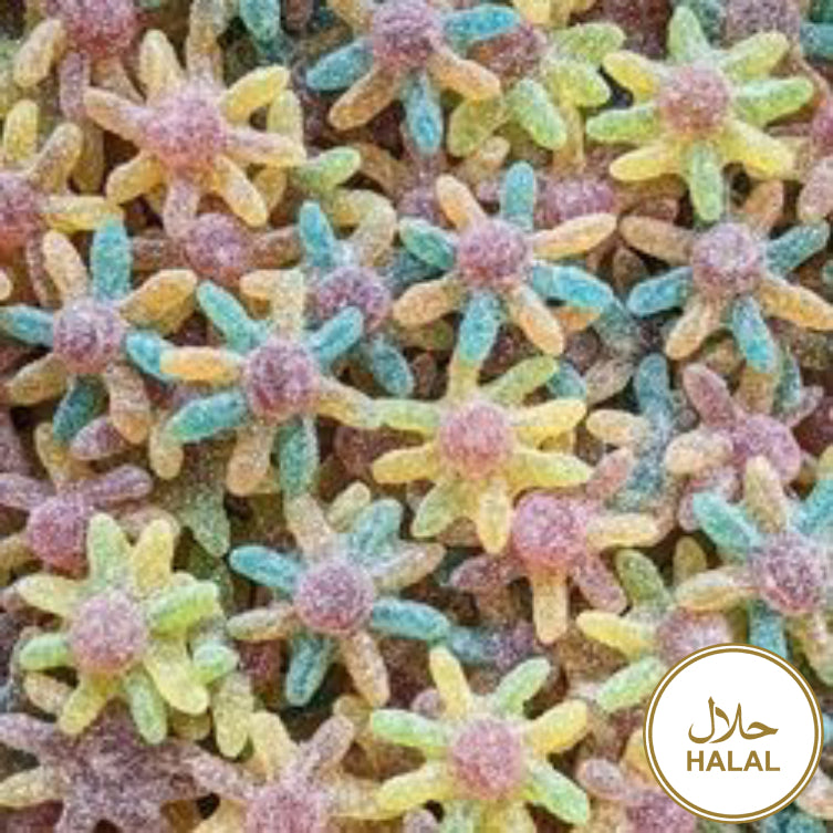 Poulpes sucrés - Halal - 100g